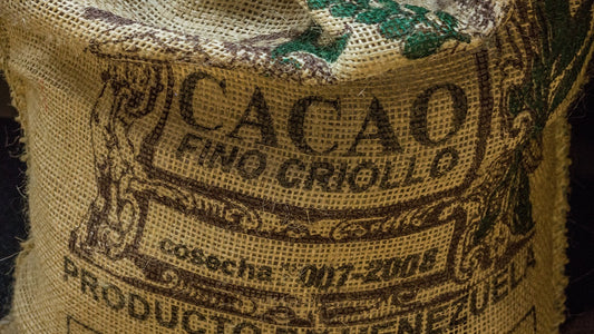 Rohkakao als gesunde Alternative zu Kaffee? Entdecke die Vorteile!