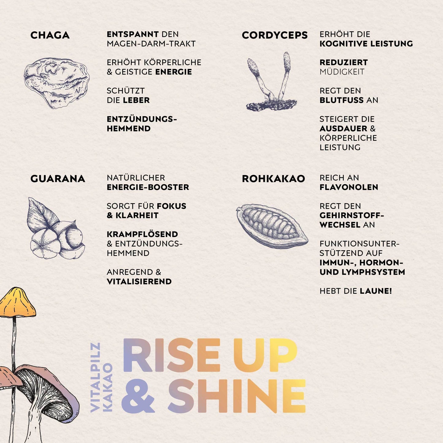 Bio Vitalpilz Kakao – Rise Up & Shine